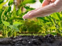 New-Gen agri grads taking up sustainable agri startups seriously - Fateh Rural chief