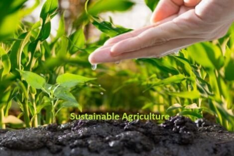 New-Gen agri grads taking up sustainable agri startups seriously - Fateh Rural chief