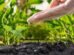 New-Gen agri grads taking up sustainable agri startups seriously - Fateh Rural chief