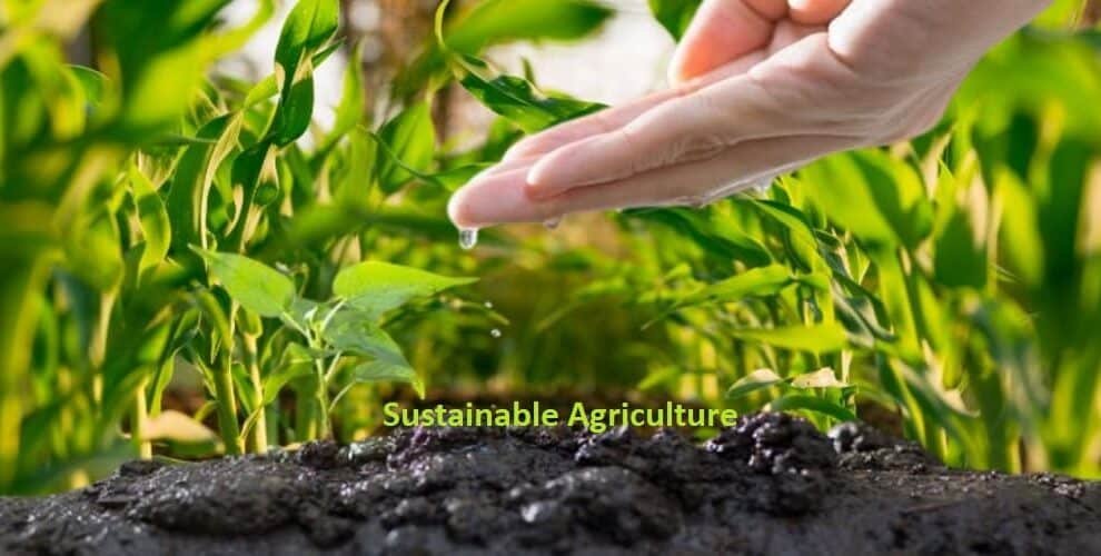 New-Gen agri grads taking up sustainable agri startups seriously - Fateh Rural chief