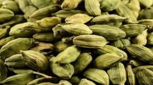 Spices Board India Warns Against Illegal Cardamom Auctions