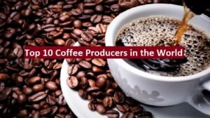 Top 10 Coffee Producers and Global Export Trends