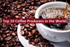 Top 10 Coffee Producers and Global Export Trends