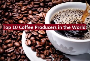 Top 10 Coffee Producers and Global Export Trends