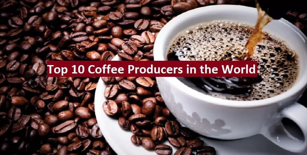 Top 10 Coffee Producers and Global Export Trends