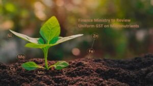 Finance Ministry to Review Uniform GST on Micronutrients