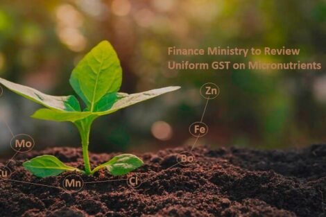 Finance Ministry to Review Uniform GST on Micronutrients