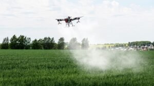 India Develops First Homegrown Water-Soluble Fertiliser Technology (1)