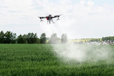 India Develops First Homegrown Water-Soluble Fertiliser Technology (1)