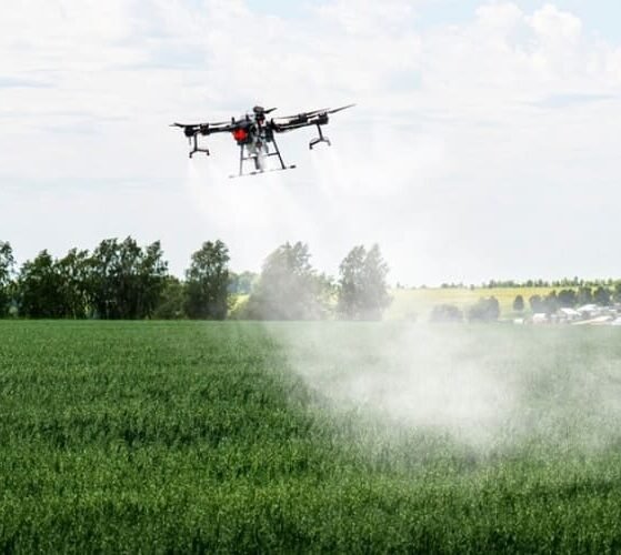 India Develops First Homegrown Water-Soluble Fertiliser Technology (1)