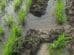 Soil, Water and Crop Health Building a Sustainable Future for Indian Agriculture